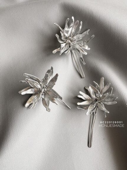 ahc220126001 Set Silver Haircomb