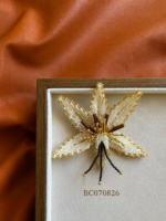 Celeste Lily Brooch - BC070826 - Image 2