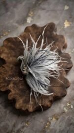 BC05102602 - Gray Swan Brooch